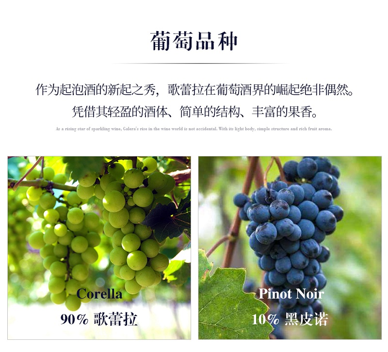 選擇優(yōu)質(zhì)葡萄