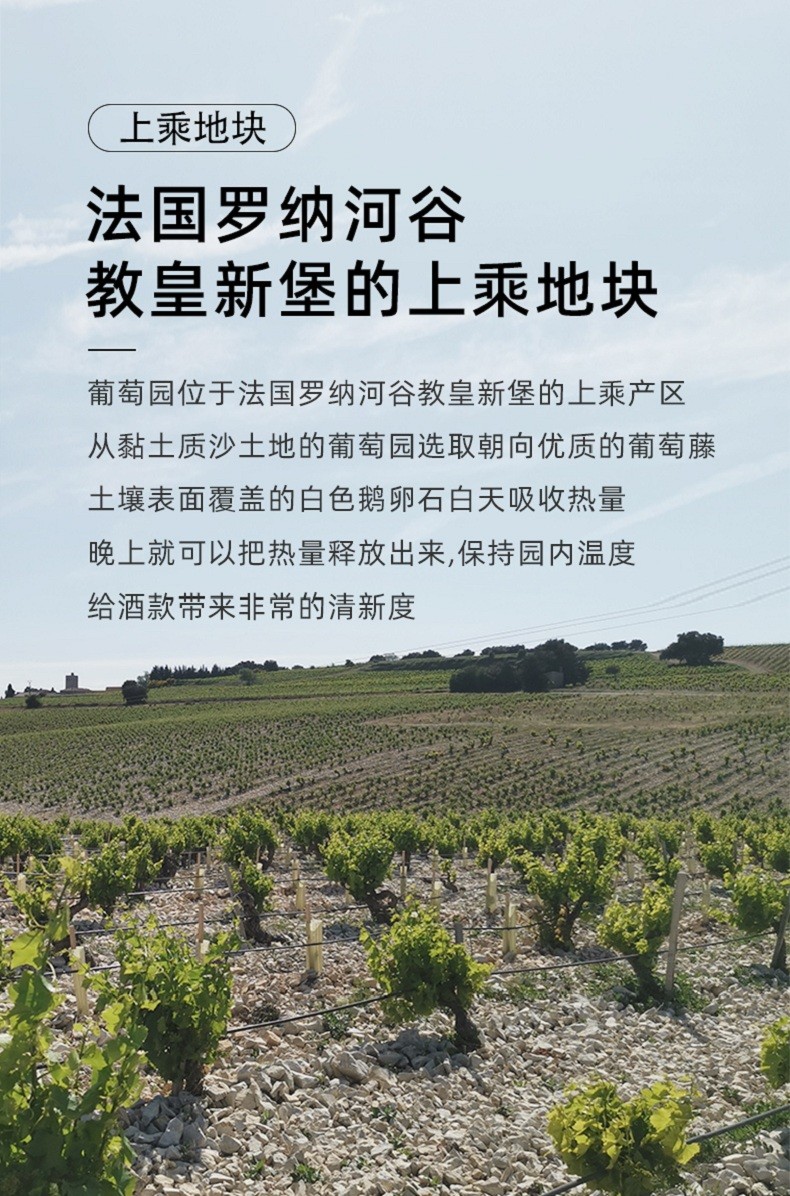 發(fā)過羅納河谷精選葡萄